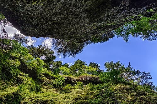 Upward view from bottom of Oneonta Gorge-Columbia River Gorge National Scenic Area-Oregon Landscape Print